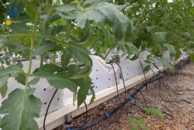 China Verticaal planten PVC-substraat Groei goot Hydroponisch Peper Tomaten Plant Trough Te koop