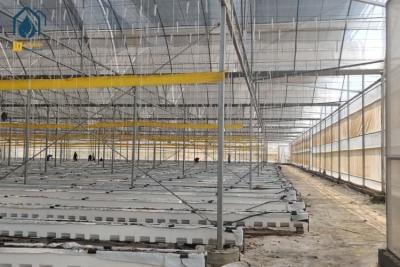 China Agricultural Clear Plastic Greenhouse UV Resistant PE Film Greenhouse For Farms for sale