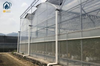 China Vegetables Multi Span Agricultural Greenhouse Plant Plastic Film Greenhouse for sale