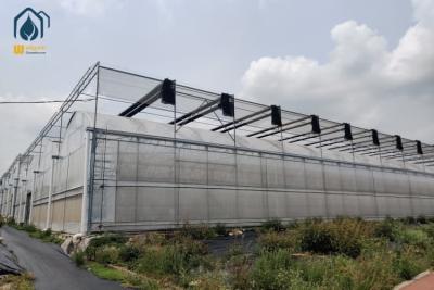 China Outdoor Large Multi Span Greenhouse Agriculture Metal Frame Plastic Greenhouse for sale