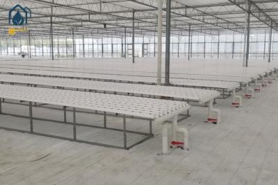 Cina Legumi in serra Lettuce coltivare sistema idroponico NFT Verticale Hydroponic Pipeline in vendita