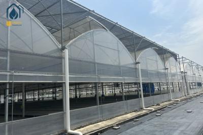 China Multi Span Herb Greenhouse Farming UV Resistant With Hydroponic System for sale