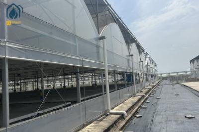 China Multi Span Organic Crops Growing Greenhouse With Water Saving Solutions for sale