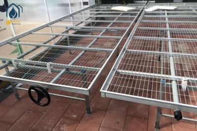 China Banquillo de semillas de malla de alambre de invernadero de interior de altura ajustable Bañador de semillas de jardinería Banquillo rodante en venta