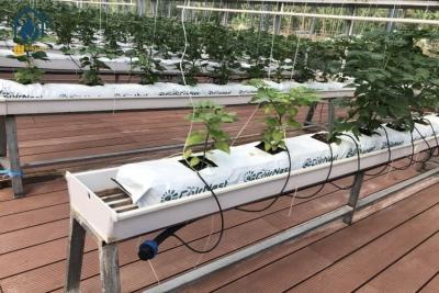 China Hydroponisch PVC NFT Verticaal Substraat Planten Gaten Groei Systeem Voor Tomaten Te koop