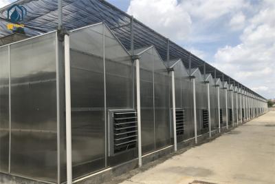 China Customized Polycarbonate Panel Greenhouse Year Round Vegetable Greenhouse for sale