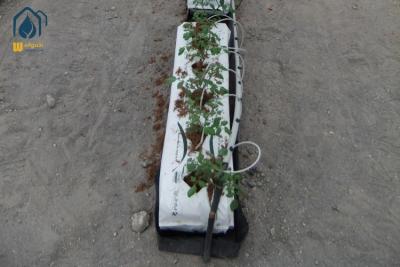 China Tomaten hydroponische PP rollen groenten planten goot in de moderne landbouw Te koop