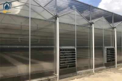 Cina Serra di erbe biologiche Polycarbonate Polyhouse con sistemi automatici di controllo del clima in vendita