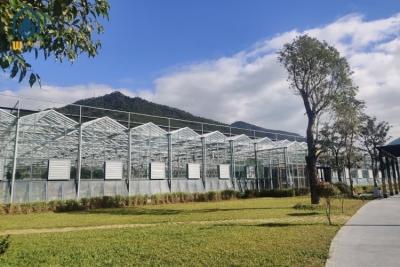 Chine Serre de grande taille en verre à longue portée à vendre