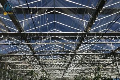 China Agriculture Vegetable Flower Glass Greenhouse Farm Commercial Greenhouse Structures for sale