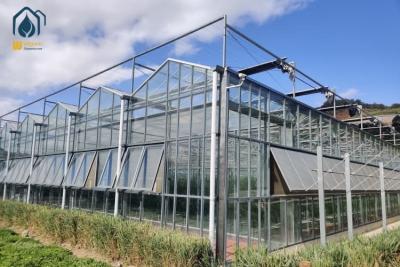 China Large Agricultural Multi Span Glass Greenhouse Square Commercial Hydroponic Greenhouse for sale