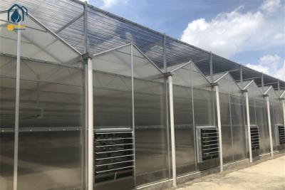 China Commercial Agriculture Polycarbonate Greenhouses With Precision Climate Control for sale