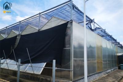 China Commerciële landbouw Polycarbonaatplaat kas PC-plaat kas Te koop