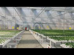 Smart NFT Hydroponic Growing System Plant Growth Commercial And Indoor Garden Kit