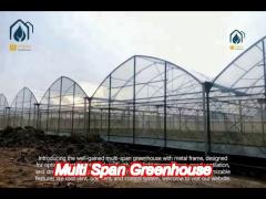multi span film vegetables greenhouse in hot climate with sprinkler irrigation system