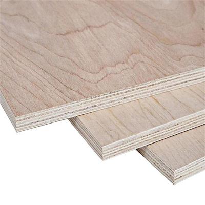 China 15mm contemporary fancy beech veneer laminated commercial plywood for cabinet and furniture board for sale