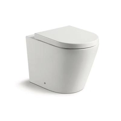 China Chinese Double-flush Bathroom WC Public Toilet Floor Mounted Lavatory for sale