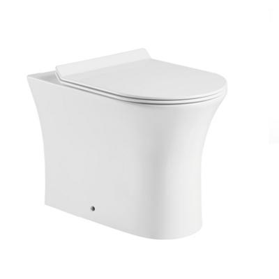 China Double-Flow Toilet Bathroom Design Floor Washdown S Trap P Trap One Piece Toilet Manufacturer for sale