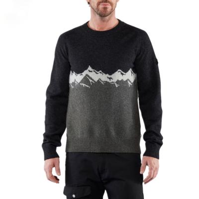 China Anti-wrinkle 2021 Custom Design Logo Mens Cotton Sweaters Pullover Knit Plus Size 100% Pure Wool Cashmere Sweater For Men for sale