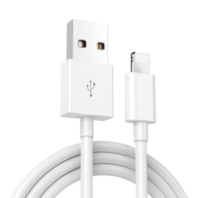 China Portable Standard USB Mini Adapter Foxconn Cable for iPhone USB Support OEM and ODM for iPhone 11 Pro Max for sale