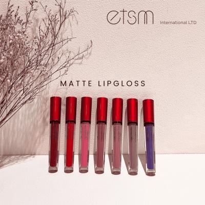 China Matte Gloss 3.9ml Waterproof Matte Lipgloss for sale