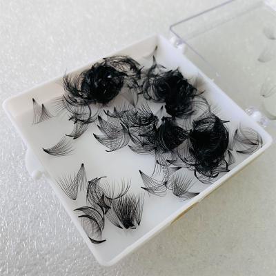 China 1000 Case Natural Soft Fans 3D 4D 5D 6D Pre Made Fans Loose Lashes Russian Volume Eyelash Extensions for sale