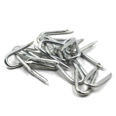 China Wholesale Flat U Shape Common Nail Fence Staples Barbed Shank U Nail Diamond Sharp U Type Iron Wire Nail for sale