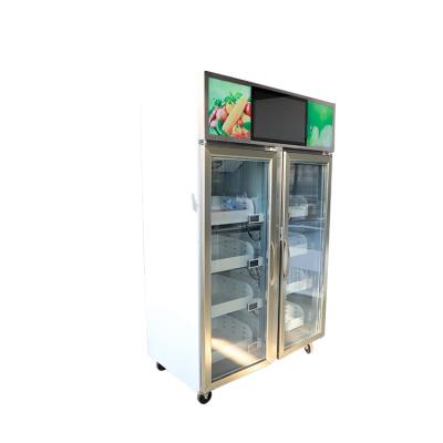 China Refrigerated preservation display cabinet Commercial large capacity double door vertical vegetable display cabinet refrigerator for sale