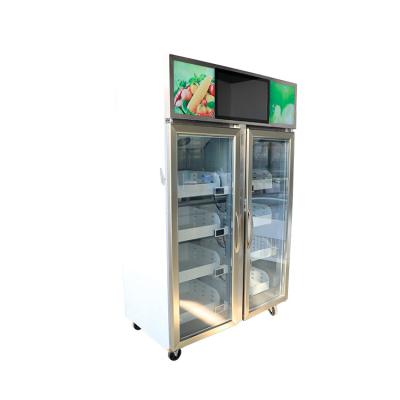 China Double-door refrigerated display cabinet air cooled vertical display cabinet for fresh commercial fruit and beer for sale