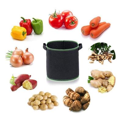 China Garden grow pot potato grow bag non woven garden plant growth bag beauty potted plant bag for sale