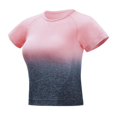 China Wholesale Breathable Seamless Gradient Yoga T-shirt Women Gym Fitness Sports Running Short Tops for sale