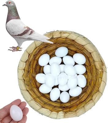 China Viable Fake Pigeon Eggs For Hatch Dove Parrot Birds Geese Incubation Small Breeding Solid, Trick The Birds To Stop Laying Eggs for sale