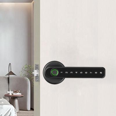 China Ttlock Tuya BLE Smart Home Lock Pulido Fingerprint Prison Office Hotel Apartments Keyless Open Waterproof Smart Patio Door Locks for sale