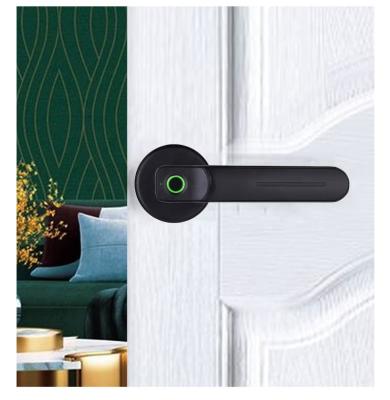 China Home Cost-Effective Outdoor Intelligent Lock Lock Tuya Ttlock BLE Smart Door Pulido Fingerprint Prison Office Apartment Hotel Euro Cylinder for sale