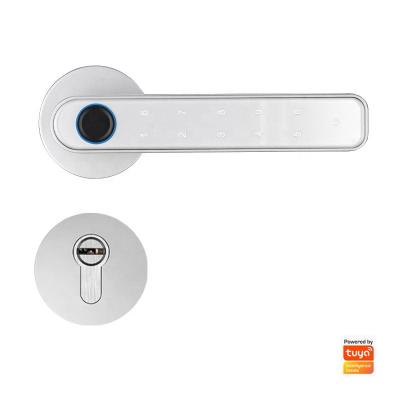 China Home Electronic Biometric Smart Fingerprint Double Lock Password Code Digital Prison Office Apartments Hotel Aluminum Steel Sliding Door Lock for sale