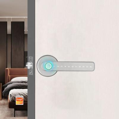 China Home Electronic Biometric Smart Apartment Pulido Prison Office Apartment Hotel Door Lever Handle Lock for sale