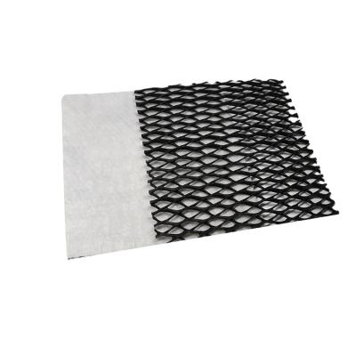 China Industrial High Tensile Strength 3d Composite Drainage Net For Drainage Projects for sale