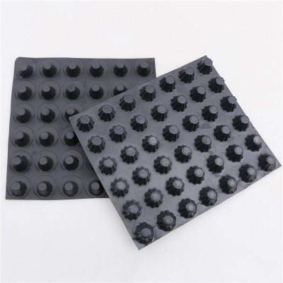 Cina Industrial Plastic Drain Cell Drainage Board For Roof Garden in vendita