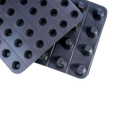 China Industrial Construction Product Black 10mm Drainage HDPE Board Drainage Cell à venda