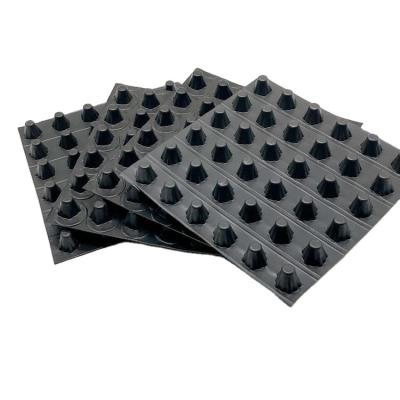 China Industrial Waterproofing Drainage Board For Garden Construction Drainage Board à venda