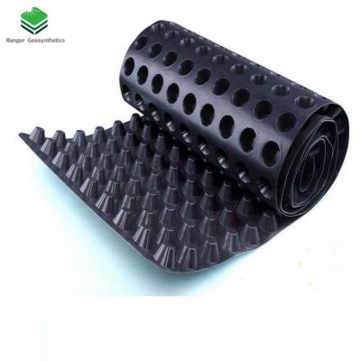 China Modern Construction Product Black Drainage HDPE Board Drainage Cell for sale