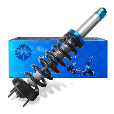 Cina Ford F150 Air Suspension Shock personalizzato per le esigenze del cliente in vendita