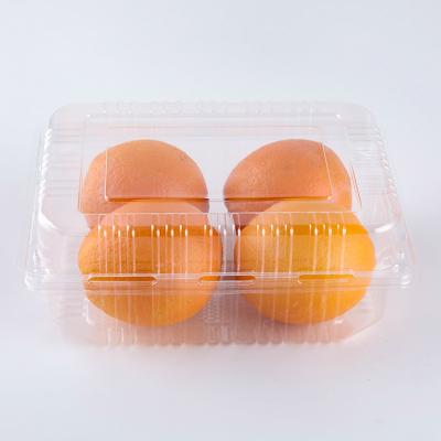 China Custom 1500g Thickness 1500g PLA PET Agriculture Plastic Packing Box Fruit Container Disposable Clamshell Container for sale