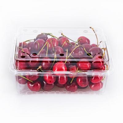 China Disposable Agriculture PET Clear Clamshell Container Fruit Packaging Transparent Box Cherry Punnet for sale