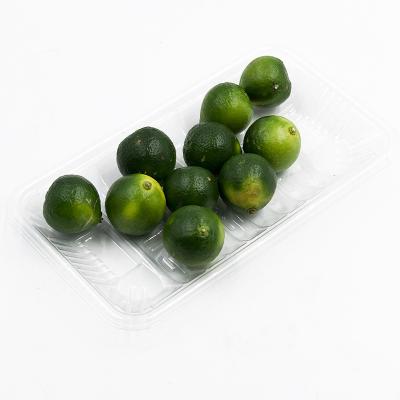 China Disposable Plastic Food Blister Fresh Vegetables Packaging Trays Fruit Food Fresh Storage Plastic Trays for sale