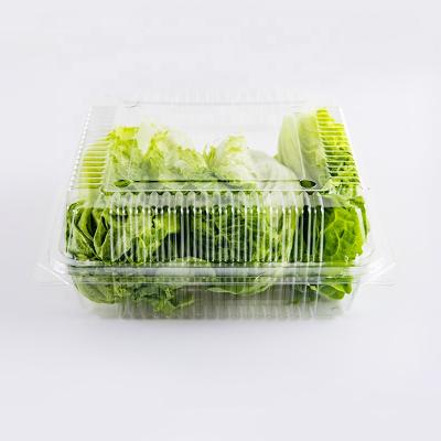 China Clear Plastic Cherry Tomato Mushroom Packaging Box Vegetable Disposable PET Fruit And Vegetable Packaging for sale