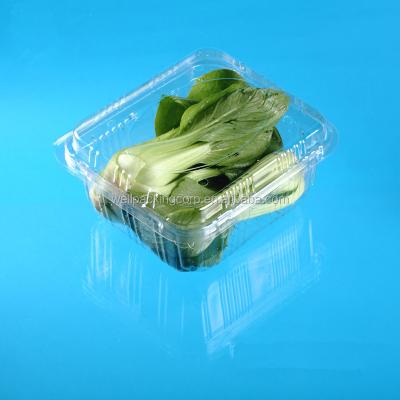 China Biodegradable Disposable Plastic Vegetable Packaging Box For Mushroom Potato for sale