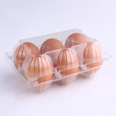 China Transparent Disposable Eggs 6 Holes PET Plastic Egg Tray Packaging Box Egg Container for sale