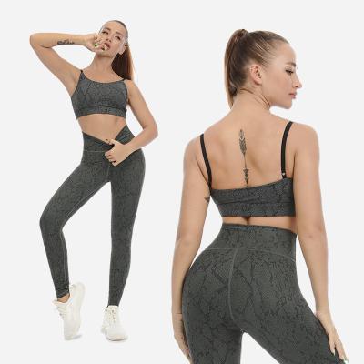 China Breathable Custom Fitness And Yoga Wear See No Through Nylon Spandex Snake Sports Bra And Pants 2 Piece Women Yoga Set 2022 for sale