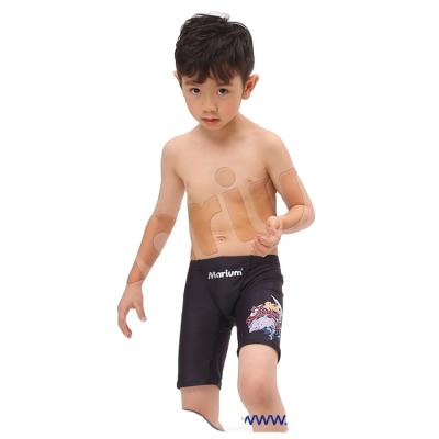 China High Quality Breathable Kids Swimwear Cartoon Shark Printed Boys Swim Jammers for sale